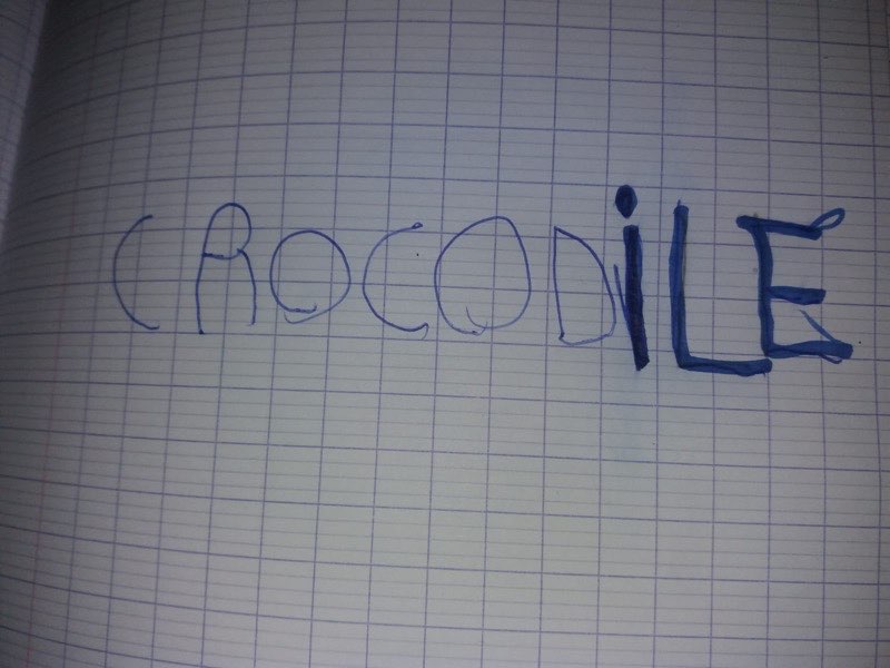 Abdennour (MS) - écriture crocodile
